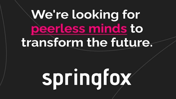 Peerless Minds Talent Program and SpringFox