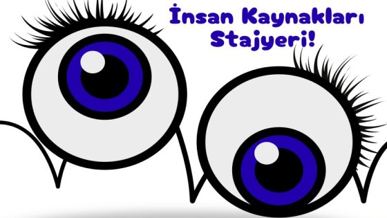 LaborLab-İnsan Kaynakları Stajyeri